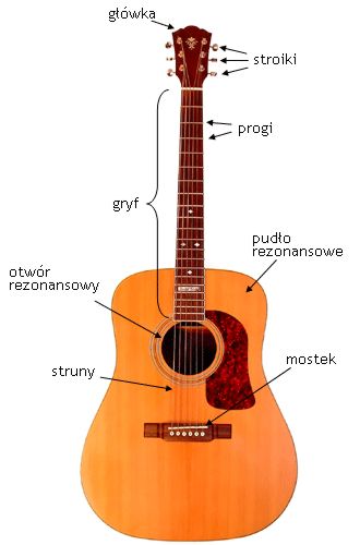 Budowa gitary
