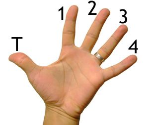 Numery palców